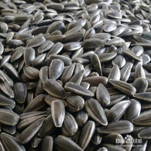 瓜过敏可以吃瓜子吗,瓜子是否安全？