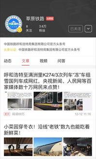 有多少人喜欢头条号,人气爆棚，究竟吸引了多少粉丝热捧？