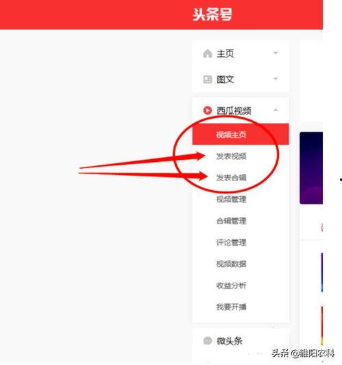 电脑手机登录头条号,轻松登录头条号，开启精彩内容之旅