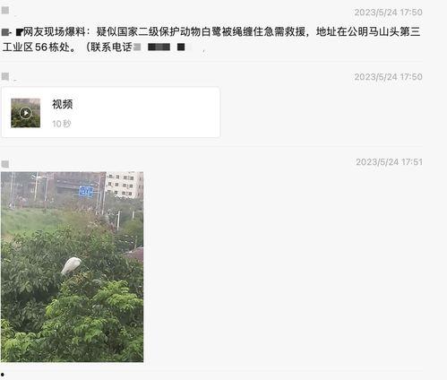 深圳网上如何爆料新闻,一键上传，见证城市变迁