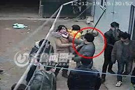 村民修桥爆料视频播放,见证团结力量，共筑幸福桥梁