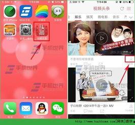 头条视频有几个分类