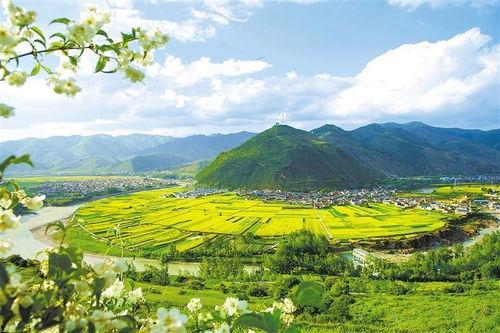 洮河西岸新闻头条,揭秘洮河生态治理新进展，助力绿色发展