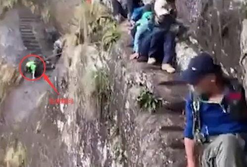 贵州网红失足坠崖女孩,悲剧背后的网络迷思与人生抉择